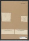 Rattrayella samaruensis (Grun.) De-Toni (de-Toni-Nr.: Genus 176, Species 4461) Zeichnungen Sammlung Grunow Nr. 8027 (NHMW-BOT-W0377335)